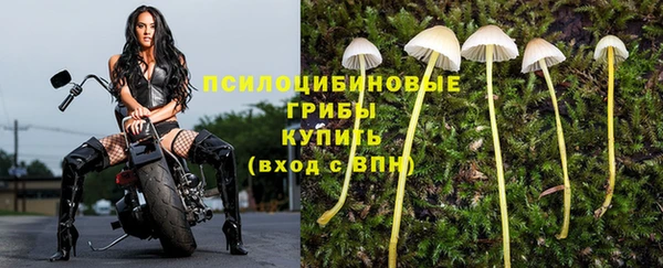 мяу мяу кристалл Бородино