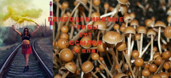 2c-b Няндома